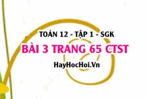 Bài 3 trang 65 Toán 12 tập 1 Chân trời sáng tạo